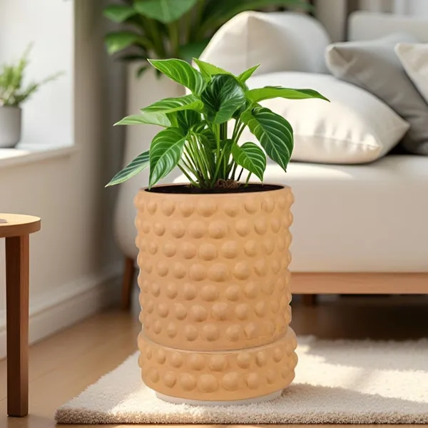 Bubble_Small_Ginger_With_Tray_Bubble_Small_Ginger_Ceramic_Pots_For_Indoor_Plants,Planters,Flower,Gamla,Outdoor,Balcony(Pot-H-10.5_X_D-10.5_Cm,Plate-H-3Xd-10.5Cm)