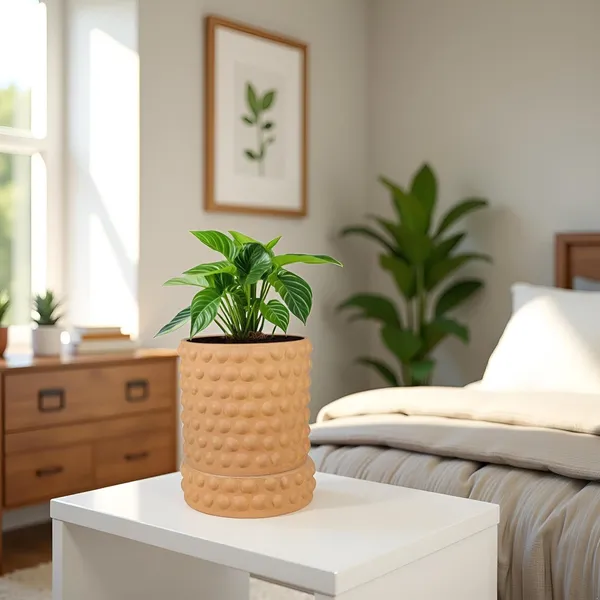 Bubble_Small_Ginger_With_Tray_Bubble_Small_Ginger_Ceramic_Pots_For_Indoor_Plants,Planters,Flower,Gamla,Outdoor,Balcony(Pot-H-10.5_X_D-10.5_Cm,Plate-H-3Xd-10.5Cm)