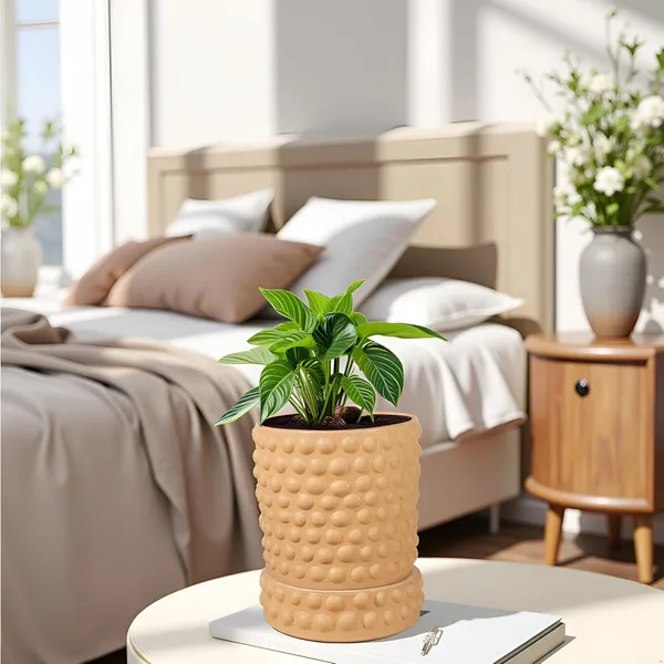 Bubble_Small_Ginger_With_Tray_Bubble_Small_Ginger_Ceramic_Pots_For_Indoor_Plants,Planters,Flower,Gamla,Outdoor,Balcony(Pot-H-10.5_X_D-10.5_Cm,Plate-H-3Xd-10.5Cm)