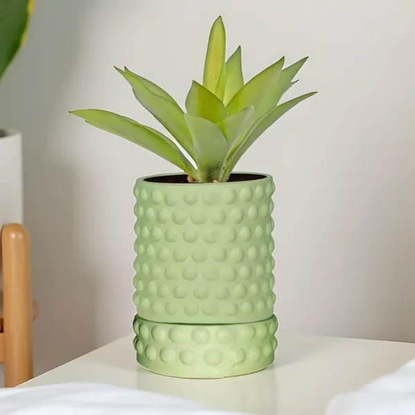 Bubble_Small_Mint_With_Tray_Bubble_Small_Mint_Ceramic_Pots_For_Indoor_Plants,Planters,Flower,Gamla,Outdoor,Balcony(Pot-H-10.5_X_D-10.5_Cm,Plate-H-3Xd-10.5Cm)