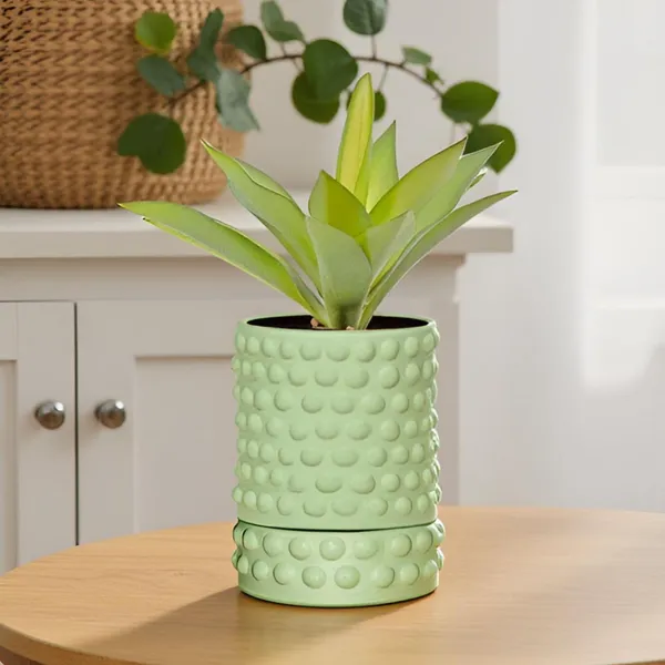 Bubble_Small_Mint_With_Tray_Bubble_Small_Mint_Ceramic_Pots_For_Indoor_Plants,Planters,Flower,Gamla,Outdoor,Balcony(Pot-H-10.5_X_D-10.5_Cm,Plate-H-3Xd-10.5Cm)