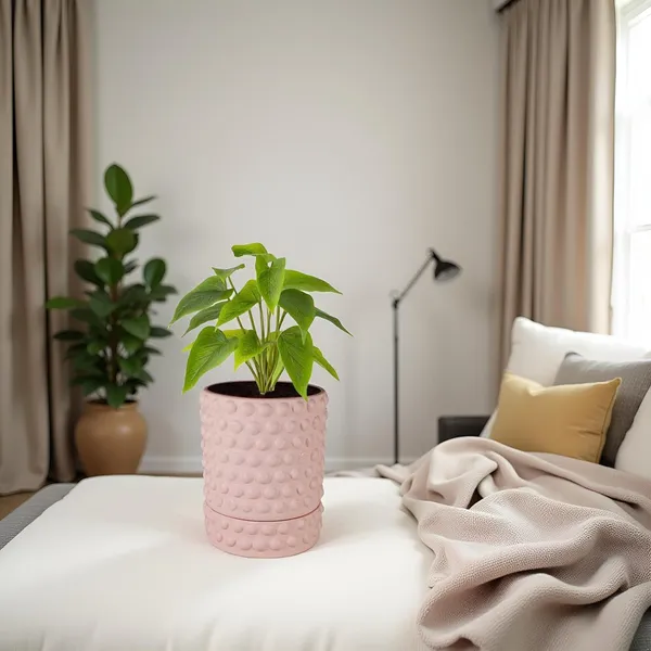 Bubble_Small_Pink_With_Tray_Bubble_Small_Pink_Ceramic_Pots_For_Indoor_Plants,Planters,Flower,Gamla,Outdoor,Balcony(Pot-H-10.5_X_D-10.5_Cm,Plate-H-3Xd-10.5Cm)
