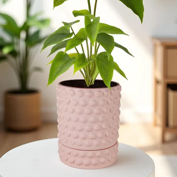 Bubble_Small_Pink_With_Tray_Bubble_Small_Pink_Ceramic_Pots_For_Indoor_Plants,Planters,Flower,Gamla,Outdoor,Balcony(Pot-H-10.5_X_D-10.5_Cm,Plate-H-3Xd-10.5Cm)