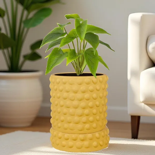 Bubble_Small_Saffron_With_Tray_Bubble_Small_Saffron_Ceramic_Pots_For_Indoor_Plants,Planters,Flower,Gamla,Outdoor,Balcony(Pot-H-10.5_X_D-10.5_Cm,Plate-H-3Xd-10.5Cm)