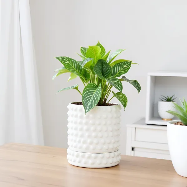 Bubble_Small_White_With_Tray_Bubble_Small_White_Ceramic_Pots_For_Indoor_Plants,Planters,Flower,Gamla,Outdoor,Balcony(Pot-H-10.5_X_D-10.5_Cm,Plate-H-3Xd-10.5Cm)