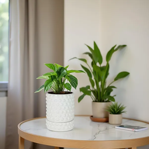 Bubble_Small_White_With_Tray_Bubble_Small_White_Ceramic_Pots_For_Indoor_Plants,Planters,Flower,Gamla,Outdoor,Balcony(Pot-H-10.5_X_D-10.5_Cm,Plate-H-3Xd-10.5Cm)