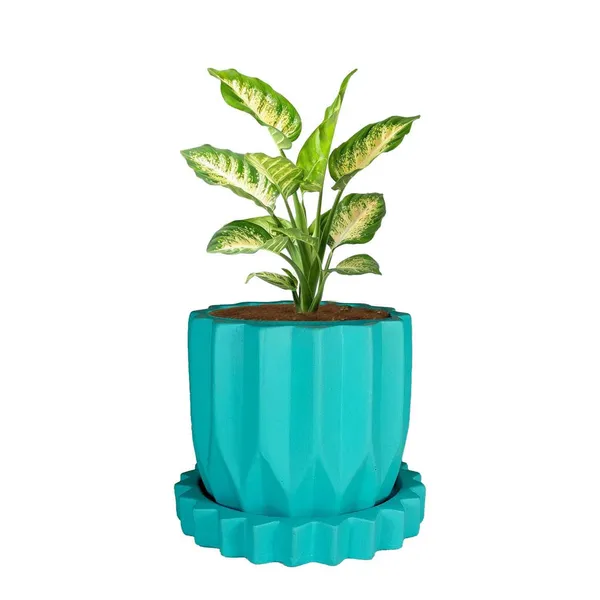 Montra_Aqua_With_Tray_Celty_Aqua_Ceramic_Pots_For_Indoor_Plants,Planters,Flower,Gamla,Outdoor,Balcony,Home,Garden,Decor(Pot-H-10.5_X_D-12.5_Cm,Plate-H-2.5Xd-14.5Cm)