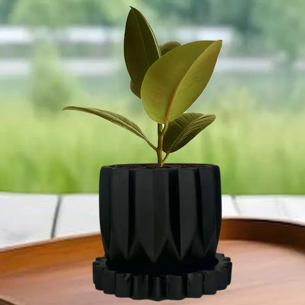 Montra_Black_With_Tray_Celty_Black_Ceramic_Pots_For_Indoor_Plants,Planters,Flower,Gamla,Outdoor,Balcony,Home,Garden,Decor(Pot-H-10.5_X_D-12.5_Cm,Plate-H-2.5Xd-14.5Cm)