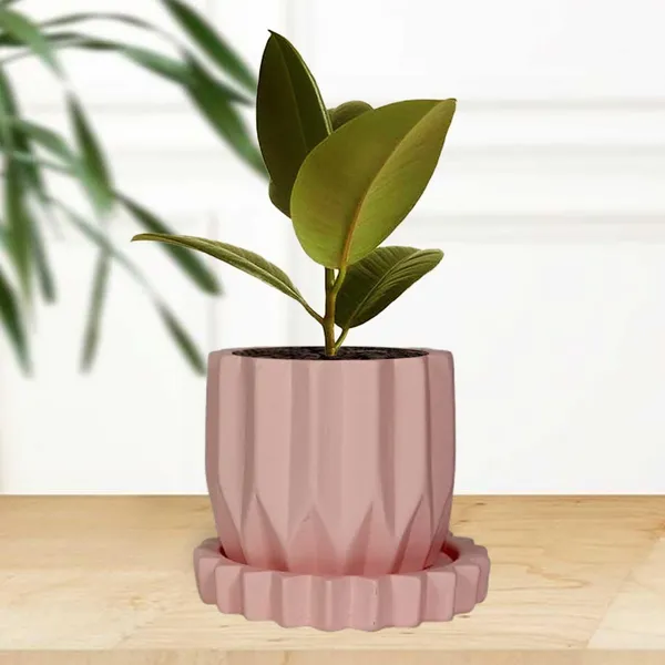 Montra_Pink_With_Tray_Celty_Pink_Ceramic_Pots_For_Indoor_Plants,Planters,Flower,Gamla,Outdoor,Balcony,Home,Garden,Decor(Pot-H-10.5_X_D-12.5_Cm,Plate-H-2.5Xd-14.5Cm)