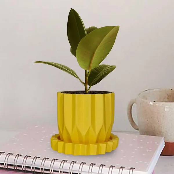 Montra_Saffron_With_Tray_Celty_Saffron_Ceramic_Pots_For_Indoor_Plants,Planters,Flower,Gamla,Outdoor,Balcony,Home,Garden,Decor(Pot-H-10.5_X_D-12.5_Cm,Plate-H-2.5Xd-14.5Cm)