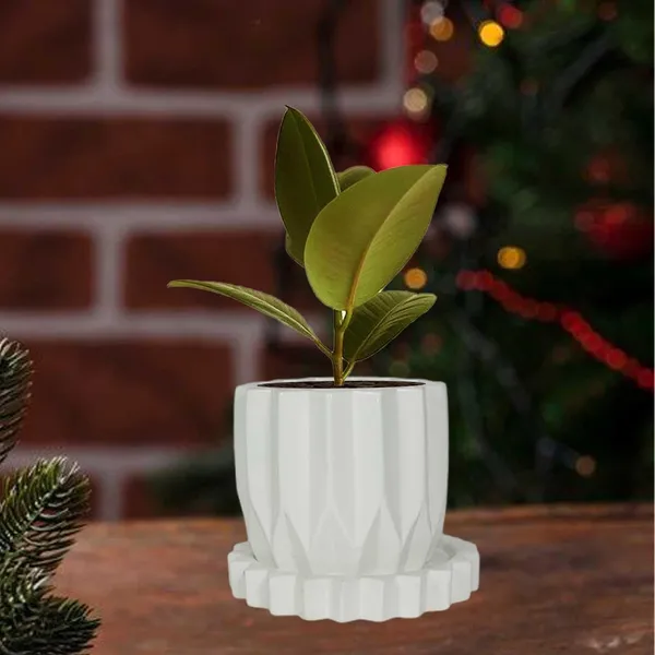 Montra_White_With_Tray_Celty_White_Ceramic_Pots_For_Indoor_Plants,Planters,Flower,Gamla,Outdoor,Balcony,Home,Garden,Decor(Pot-H-10.5_X_D-12.5_Cm,Plate-H-2.5Xd-14.5Cm)