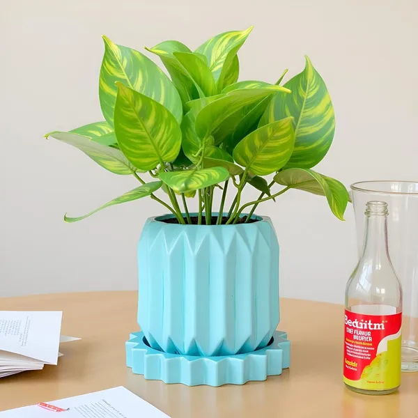 Kavira_Aqua_With_Tray_Celty_Aqua_Ceramic_Pots_For_Indoor_Plants,Planters,Flower,Gamla,Outdoor,Balcony,Home,Garden,Decor(Pot-H-11_X_D-12_Cm,Plate-H-2.5Xd-14.5Cm)