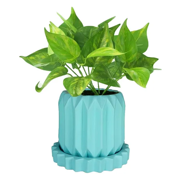 Kavira_Aqua_With_Tray_Celty_Aqua_Ceramic_Pots_For_Indoor_Plants,Planters,Flower,Gamla,Outdoor,Balcony,Home,Garden,Decor(Pot-H-11_X_D-12_Cm,Plate-H-2.5Xd-14.5Cm)