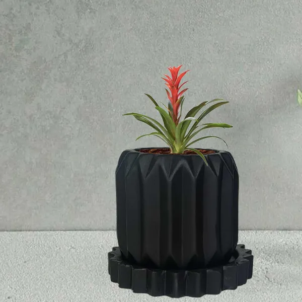 Kavira_Black_With_Tray_Celty_Black_Ceramic_Pots_For_Indoor_Plants,Planters,Flower,Gamla,Outdoor,Balcony,Home,Garden,Decor(Pot-H-11_X_D-12_Cm,Plate-H-2.5Xd-14.5Cm)