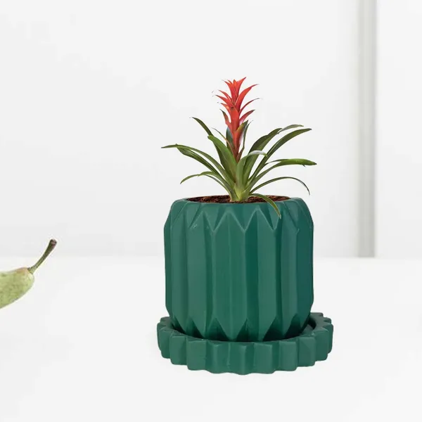 Kavira_Deep_Jungle_With_Tray_Celty_Deep_Jungle_Ceramic_Pots_For_Indoor_Plants,Planters,Flower,Gamla,Outdoor,Balcony,Home,Garden(Pot-H-11_X_D-12_Cm,Plate-H-2.5Xd-14.5Cm)