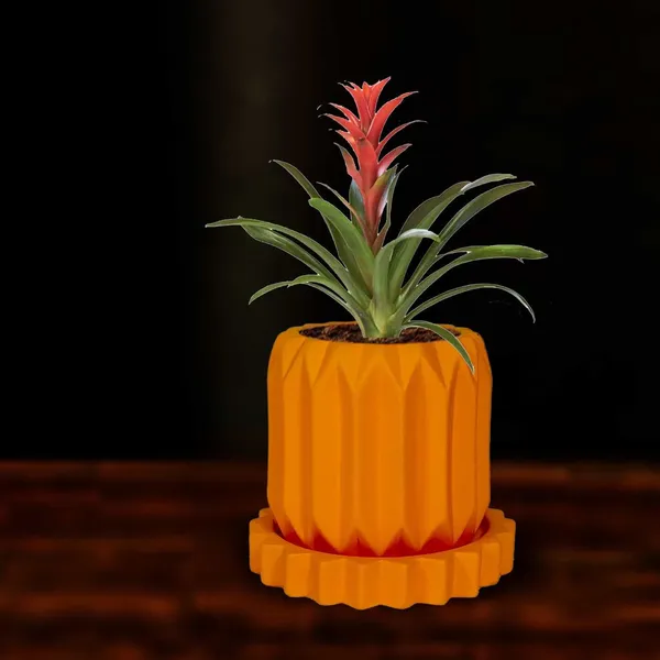 Kavira_Lily_With_Tray_Celty_Lily_Ceramic_Pots_For_Indoor_Plants,Planters,Flower,Gamla,Outdoor,Balcony,Home,Garden,Decor(Pot-H-11_X_D-12_Cm,Plate-H-2.5Xd-14.5Cm)