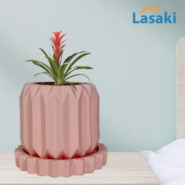 Kavira_Pink_With_Tray_Celty_Pink_Ceramic_Pots_For_Indoor_Plants,Planters,Flower,Gamla,Outdoor,Balcony,Home,Garden,Decor(Pot-H-11_X_D-12_Cm,Plate-H-2.5Xd-14.5Cm)