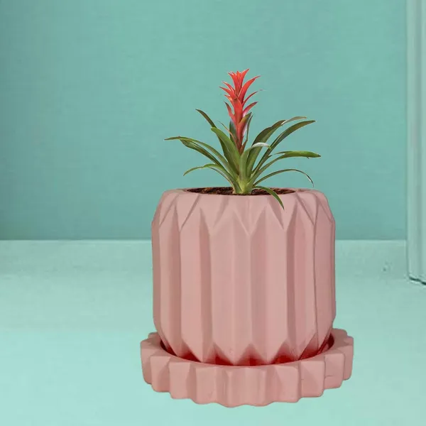 Kavira_Pink_With_Tray_Celty_Pink_Ceramic_Pots_For_Indoor_Plants,Planters,Flower,Gamla,Outdoor,Balcony,Home,Garden,Decor(Pot-H-11_X_D-12_Cm,Plate-H-2.5Xd-14.5Cm)