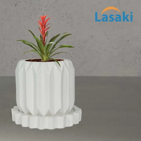Kavira_White_With_Tray_Celty_White_Ceramic_Pots_For_Indoor_Plants,Planters,Flower,Gamla,Outdoor,Balcony,Home,Garden,Decor(Pot-H-11_X_D-12_Cm,Plate-H-2.5Xd-14.5Cm)