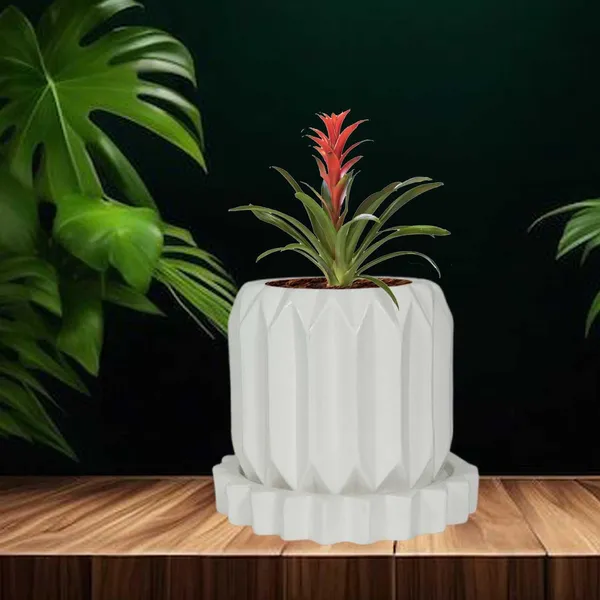 Kavira_White_With_Tray_Celty_White_Ceramic_Pots_For_Indoor_Plants,Planters,Flower,Gamla,Outdoor,Balcony,Home,Garden,Decor(Pot-H-11_X_D-12_Cm,Plate-H-2.5Xd-14.5Cm)