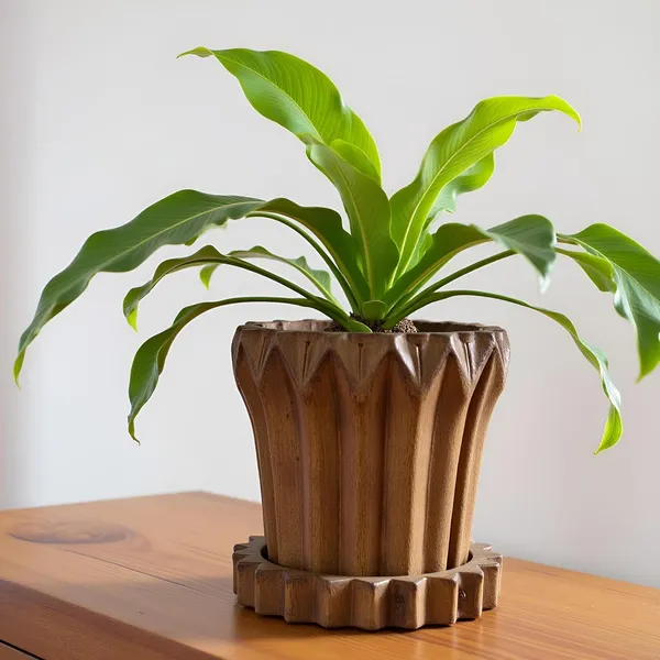 Flory_Antique_With_Tray_Celty_Antique_Ceramic_Pots_For_Indoor_Plants,Planters,Flower,Gamla,Outdoor,Balcony,Home,Garden,Decor(Pot-H-14_X_D-15_Cm,Plate-H-2.5Xd-14.5Cm)