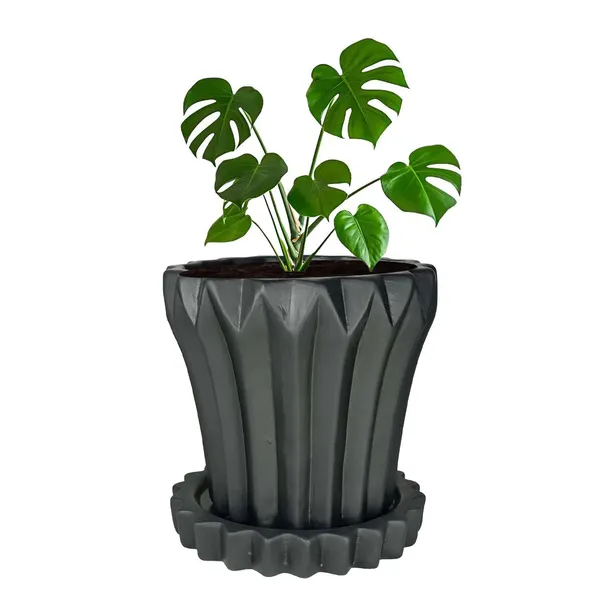 Flory_Black_With_Tray_Celty_Black_Ceramic_Pots_For_Indoor_Plants,Planters,Flower,Gamla,Outdoor,Balcony,Home,Garden,Decor(Pot-H-14_X_D-15_Cm,Plate-H-2.5Xd-14.5Cm)