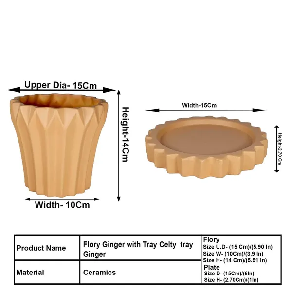 Flory_Ginger_With_Tray_Celty_Ginger_Ceramic_Pots_For_Indoor_Plants,Planters,Flower,Gamla,Outdoor,Balcony,Home,Garden,Decor(Pot-H-14_X_D-15_Cm,Plate-H-2.5Xd-14.5Cm)