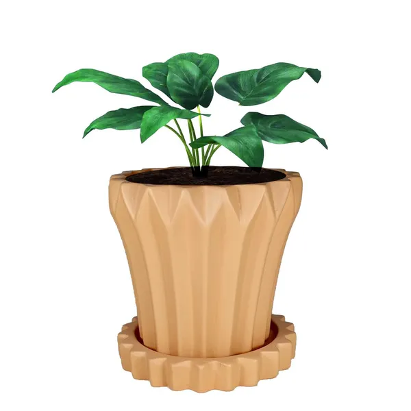 Flory_Ginger_With_Tray_Celty_Ginger_Ceramic_Pots_For_Indoor_Plants,Planters,Flower,Gamla,Outdoor,Balcony,Home,Garden,Decor(Pot-H-14_X_D-15_Cm,Plate-H-2.5Xd-14.5Cm)