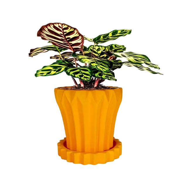 Flory_Lily_With_Tray_Celty_Lily_Ceramic_Pots_For_Indoor_Plants,Planters,Flower,Gamla,Outdoor,Balcony,Home,Garden,Decor(Pot-H-14_X_D-15_Cm,Plate-H-2.5Xd-14.5Cm)