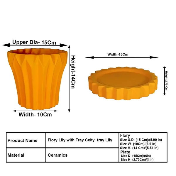 Flory_Lily_With_Tray_Celty_Lily_Ceramic_Pots_For_Indoor_Plants,Planters,Flower,Gamla,Outdoor,Balcony,Home,Garden,Decor(Pot-H-14_X_D-15_Cm,Plate-H-2.5Xd-14.5Cm)
