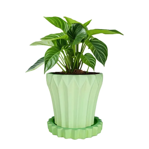 Flory_Mint_With_Tray_Celty_Mint_Ceramic_Pots_For_Indoor_Plants,Planters,Flower,Gamla,Outdoor,Balcony,Home,Garden,Decor(Pot-H-14_X_D-15_Cm,Plate-H-2.5Xd-14.5Cm)