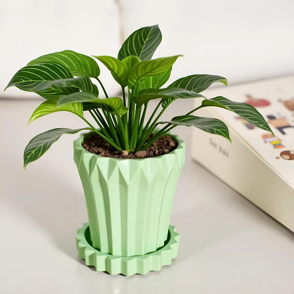 Flory_Mint_With_Tray_Celty_Mint_Ceramic_Pots_For_Indoor_Plants,Planters,Flower,Gamla,Outdoor,Balcony,Home,Garden,Decor(Pot-H-14_X_D-15_Cm,Plate-H-2.5Xd-14.5Cm)