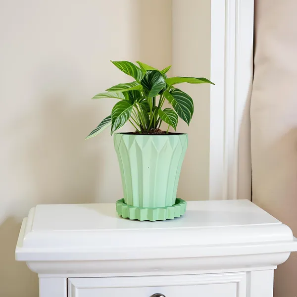 Flory_Mint_With_Tray_Celty_Mint_Ceramic_Pots_For_Indoor_Plants,Planters,Flower,Gamla,Outdoor,Balcony,Home,Garden,Decor(Pot-H-14_X_D-15_Cm,Plate-H-2.5Xd-14.5Cm)