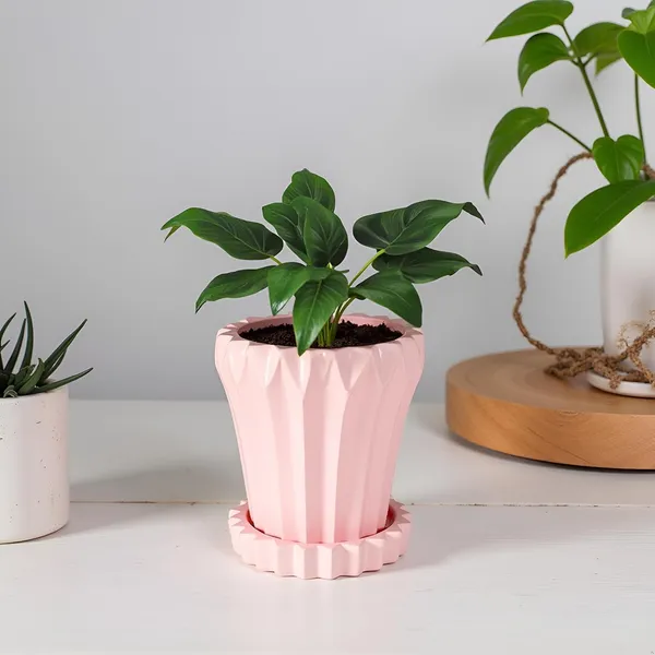 Flory_Pink_With_Tray_Celty_Pink_Ceramic_Pots_For_Indoor_Plants,Planters,Flower,Gamla,Outdoor,Balcony,Home,Garden,Decor(Pot-H-14_X_D-15_Cm,Plate-H-2.5Xd-14.5Cm)