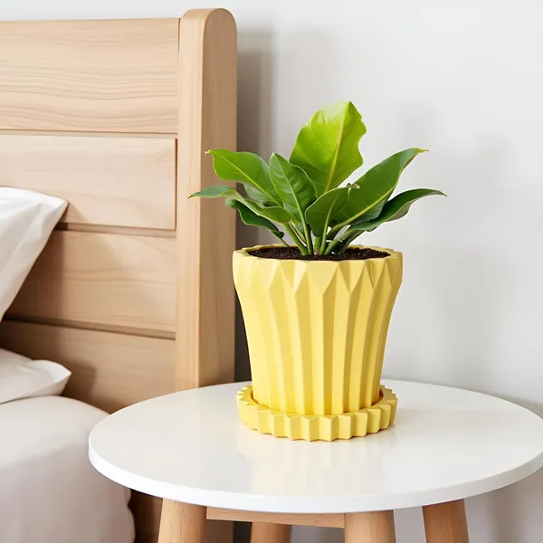 Flory_Saffron_With_Tray_Celty_Saffron_Ceramic_Pots_For_Indoor_Plants,Planters,Flower,Gamla,Outdoor,Balcony,Home,Garden,Decor(Pot-H-14_X_D-15_Cm,Plate-H-2.5Xd-14.5Cm)