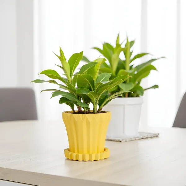 Flory_Saffron_With_Tray_Celty_Saffron_Ceramic_Pots_For_Indoor_Plants,Planters,Flower,Gamla,Outdoor,Balcony,Home,Garden,Decor(Pot-H-14_X_D-15_Cm,Plate-H-2.5Xd-14.5Cm)