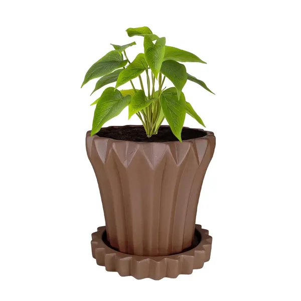 Flory_Truffle_With_Tray_Celty_Truffle_Ceramic_Pots_For_Indoor_Plants,Planters,Flower,Gamla,Outdoor,Balcony,Home,Garden,Decor(Pot-H-14_X_D-15_Cm,Plate-H-2.5Xd-14.5Cm)