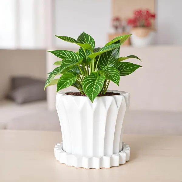 Flory_White_With_Tray_Celty_White_Ceramic_Pots_For_Indoor_Plants,Planters,Flower,Gamla,Outdoor,Balcony,Home,Garden,Decor(Pot-H-14_X_D-15_Cm,Plate-H-2.5Xd-14.5Cm)