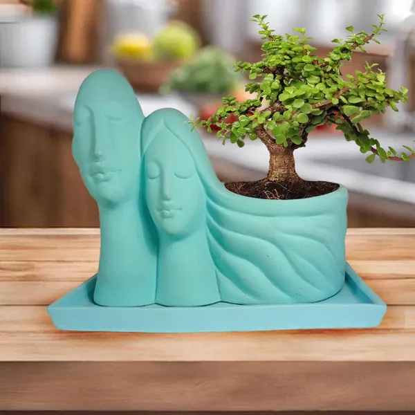 Couple_Aqua_With_Plate_Rec003_Aqua_Ceramic_Pots_For_Indoor_Plants,Planters,Flower,Gamla,Outdoor(Pot-L-16_X_W-10_X_H-14.5Cm,Plate-L-21Xw-15Xh-1.7Cm)
