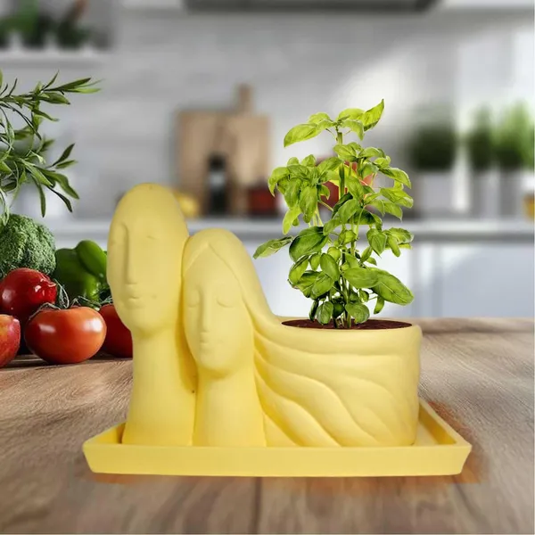 Couple_Saffron_With_Plate_Rec003_Saffron_Ceramic_Pots_For_Indoor_Plants,Planters,Flower,Gamla,Outdoor(Pot-L-16_X_W-10_X_H-14.5Cm,Plate-L-21Xw-15Xh-1.7Cm)