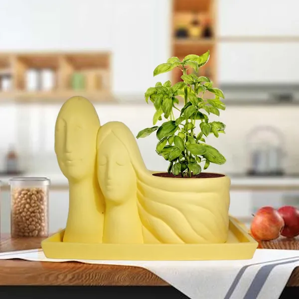 Couple_Saffron_With_Plate_Rec003_Saffron_Ceramic_Pots_For_Indoor_Plants,Planters,Flower,Gamla,Outdoor(Pot-L-16_X_W-10_X_H-14.5Cm,Plate-L-21Xw-15Xh-1.7Cm)