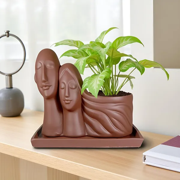 Couple_Truffle_With_Plate_Rec003_Truffle_Ceramic_Pots_For_Indoor_Plants,Planters,Flower,Gamla,Outdoor(Pot-L-16_X_W-10_X_H-14.5Cm,Plate-L-21Xw-15Xh-1.7Cm)