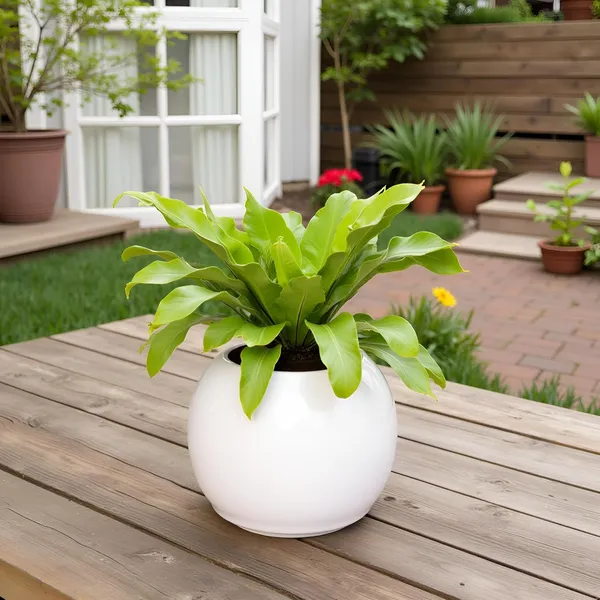 Peblo_Big_White_Ht_Ceramic_Pots_For_Indoor_Plants,_Planters,Gamla,Outdoor,Balcony,Home,Round,Garden,_Office_Decor,Succulent(H_-_8.5_X_D_-_11_Cm)