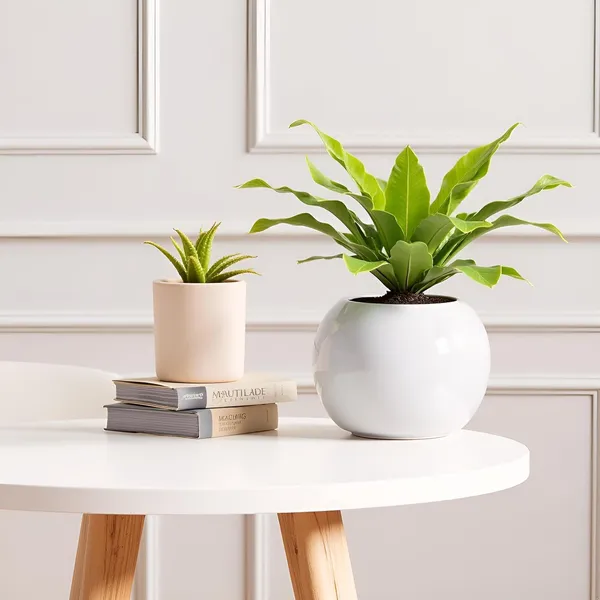 Peblo_Big_White_Ht_Ceramic_Pots_For_Indoor_Plants,_Planters,Gamla,Outdoor,Balcony,Home,Round,Garden,_Office_Decor,Succulent(H_-_8.5_X_D_-_11_Cm)