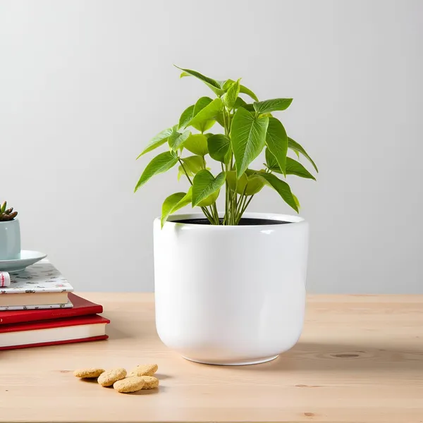 Orin_5D_White_Ht_Ceramic_Pots_For_Indoor_Plants,_Planters,Gamla,Outdoor,Balcony,Home,Round,Garden,_Office_Decor,Succulent(H_-_11.5_X_D_-_13_Cm)