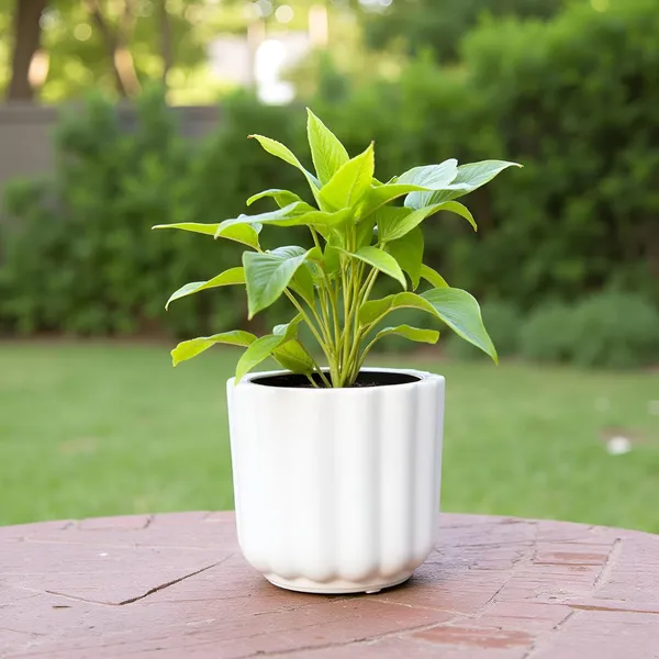 Flona_White_Ht_Ceramic_Pots_For_Indoor_Plants,_Planters,Gamla,Outdoor,Balcony,Home,Round,Garden,_Office_Decor,Succulent(H_-_11.5_X_D_-_12.5_Cm)