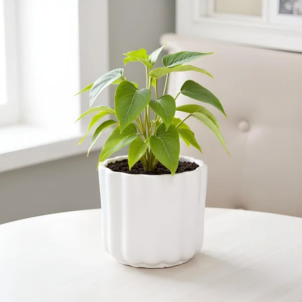 Flona_White_Ht_Ceramic_Pots_For_Indoor_Plants,_Planters,Gamla,Outdoor,Balcony,Home,Round,Garden,_Office_Decor,Succulent(H_-_11.5_X_D_-_12.5_Cm)