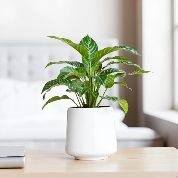 Clara_White_Ht_Ceramic_Pots_For_Indoor_Plants,_Planters,Gamla,Outdoor,Balcony,Home,Round,Garden,_Office_Decor,Succulent(H_-_12.5_X_D_-_12.5_Cm)