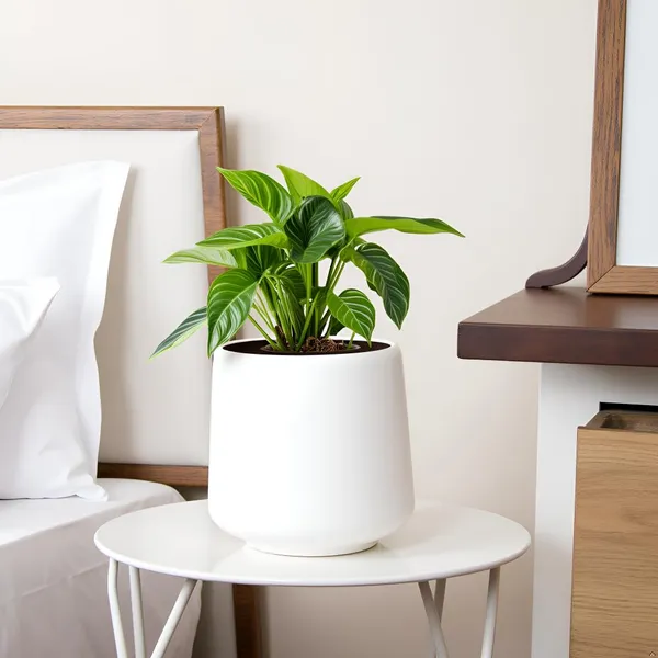 Clara_White_Ht_Ceramic_Pots_For_Indoor_Plants,_Planters,Gamla,Outdoor,Balcony,Home,Round,Garden,_Office_Decor,Succulent(H_-_12.5_X_D_-_12.5_Cm)