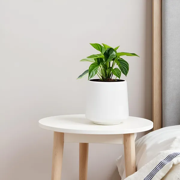 Clara_White_Ht_Ceramic_Pots_For_Indoor_Plants,_Planters,Gamla,Outdoor,Balcony,Home,Round,Garden,_Office_Decor,Succulent(H_-_12.5_X_D_-_12.5_Cm)